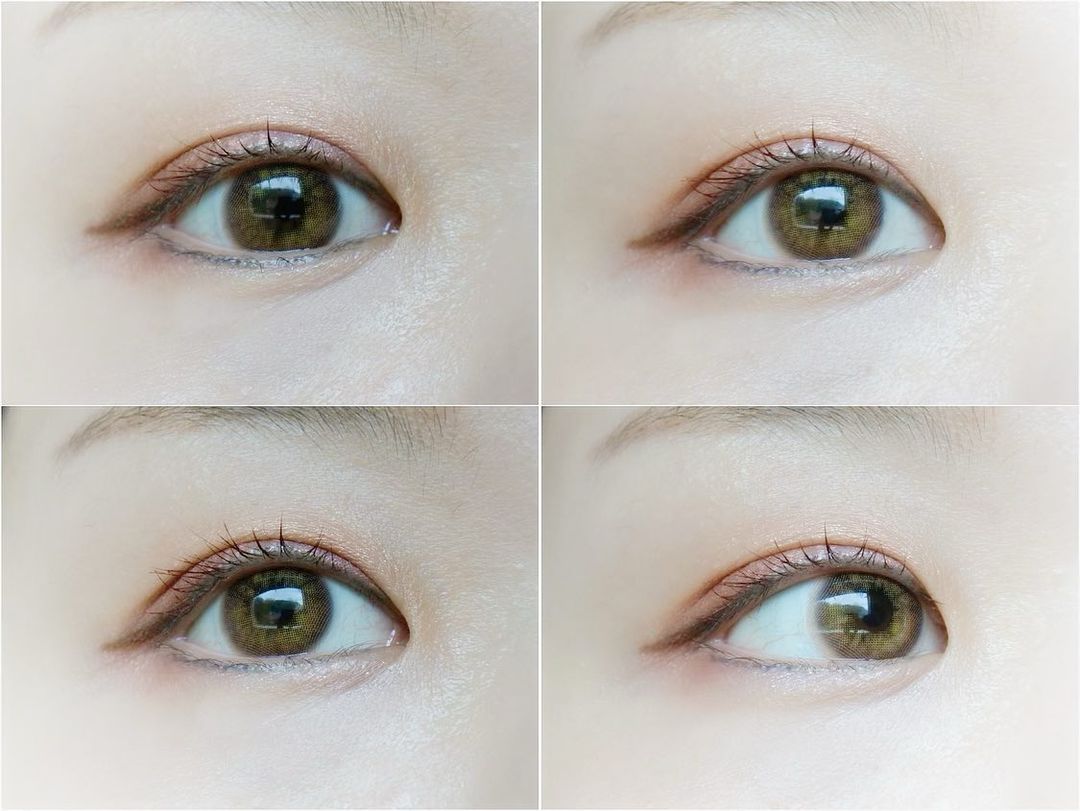 Romantea Venice Brown ロマンティー・ベニスブラウン
