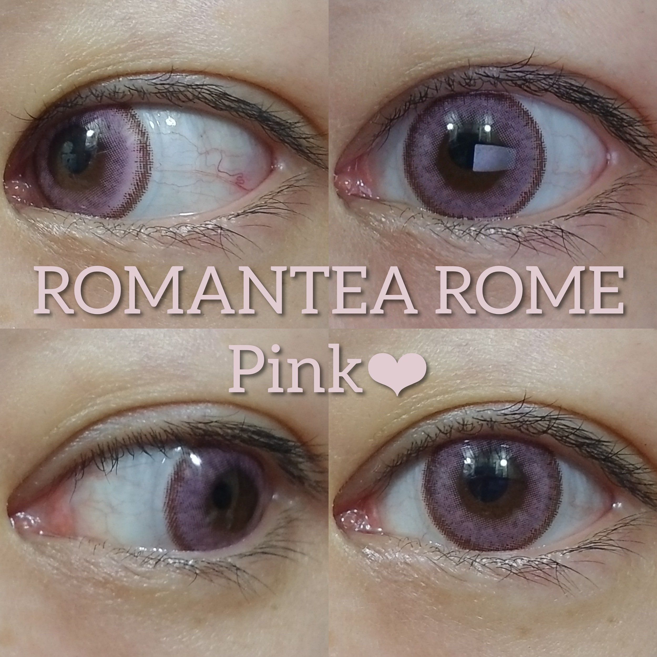 ロマンティー・ローマ ピンク Romantea ROME Pink
